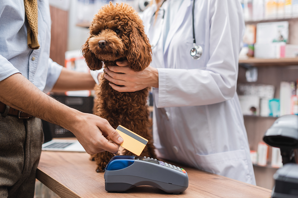 Did you spend over £1,450 on your dog in 2024?