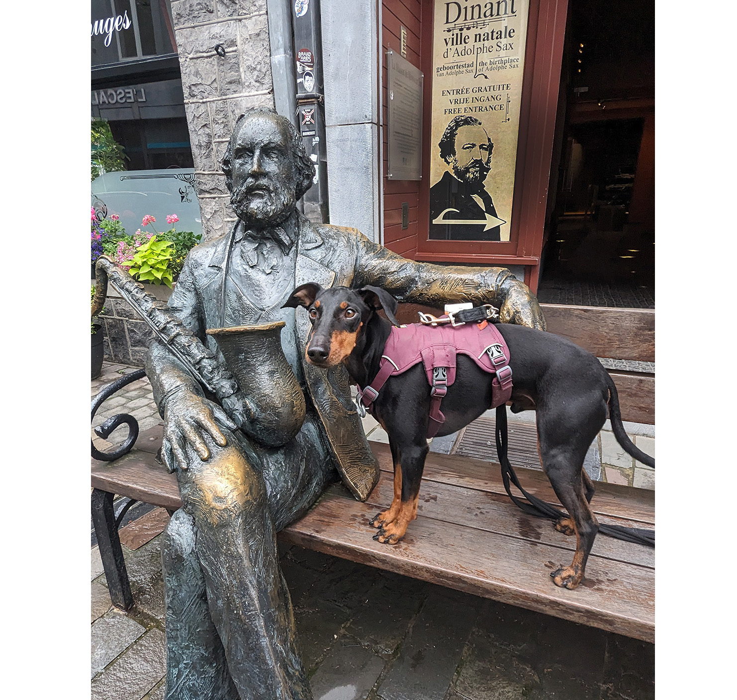 Lottie and Arty discover Belgium