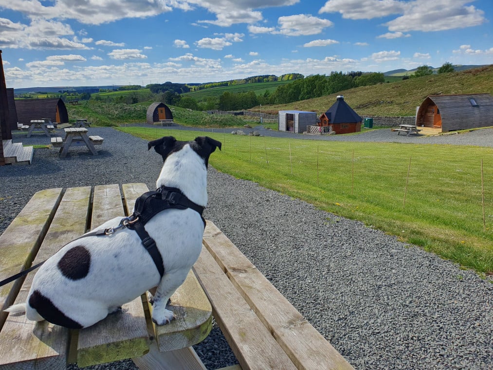 WIN A DOG FRIENDLY 3-NIGHT LODGE BREAK WITH A HOT TUB!