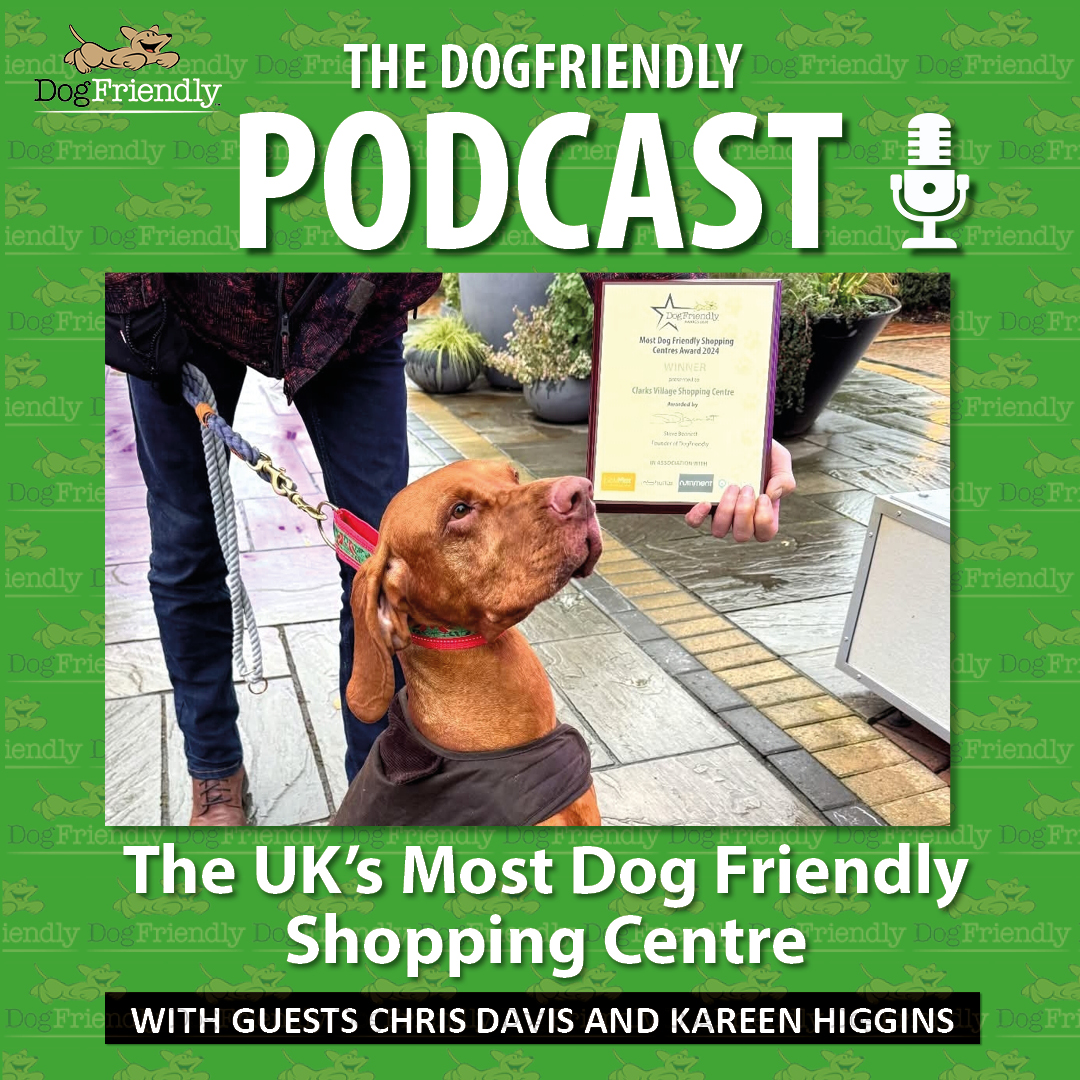 Do you know a shopping centre that allows dogs?