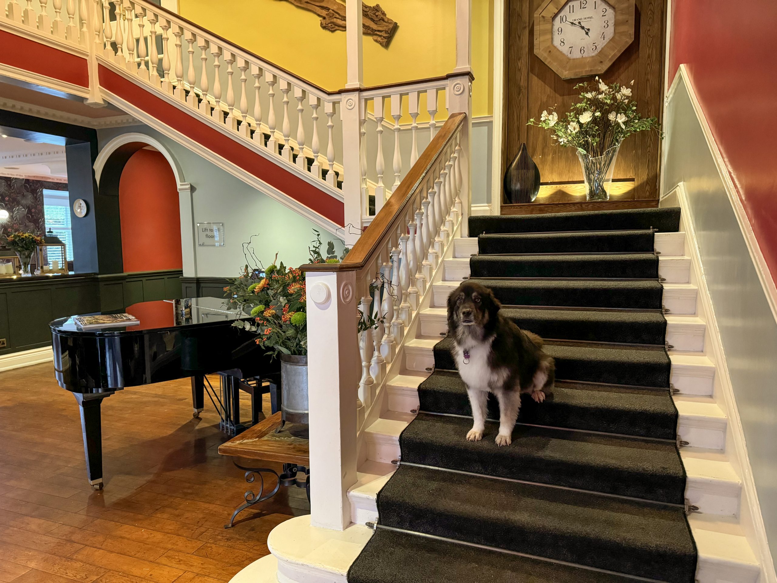 Balmer Lawn Hotel & Spa, New Forest