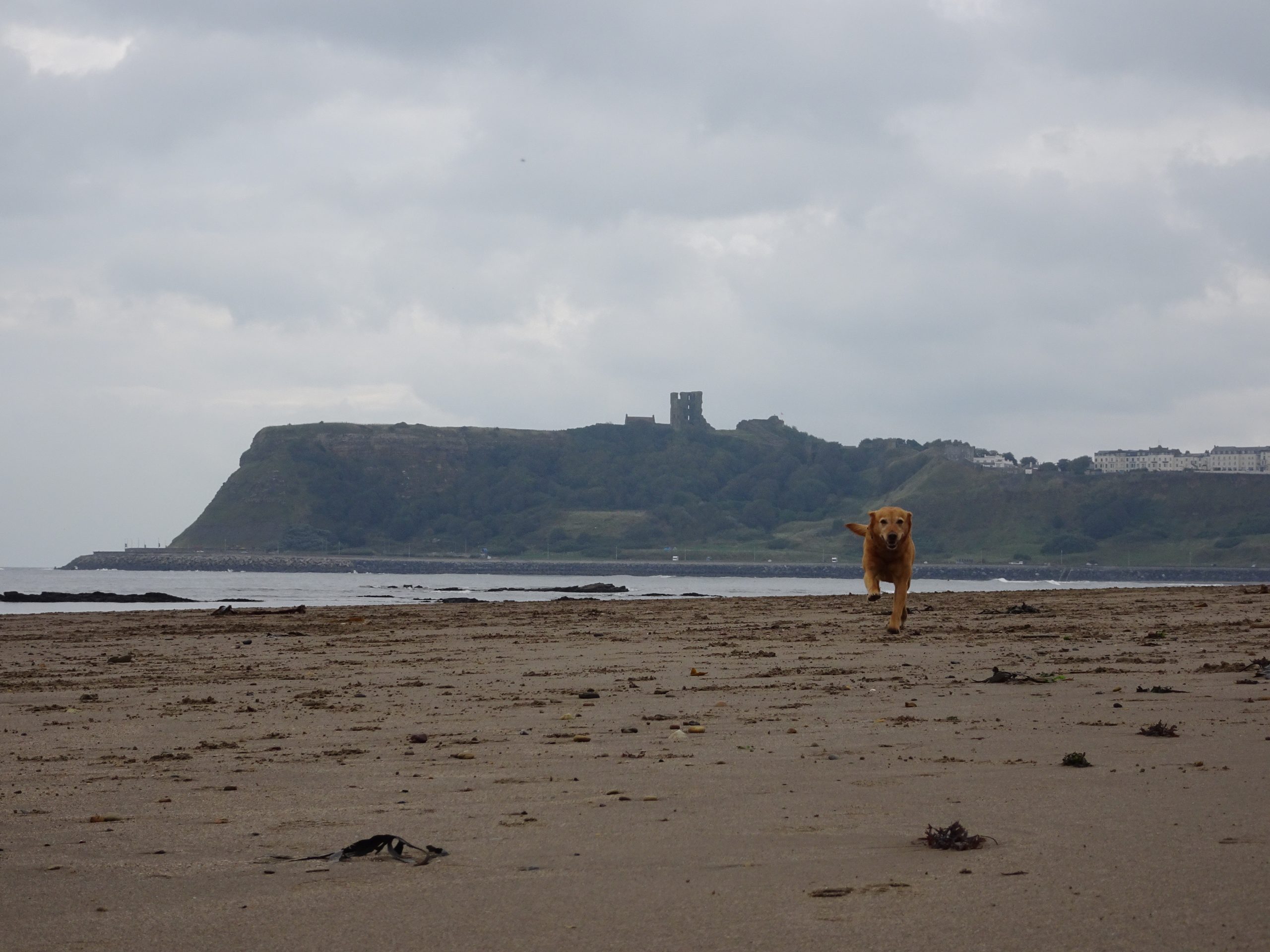 Bike and Boot – Scarborough