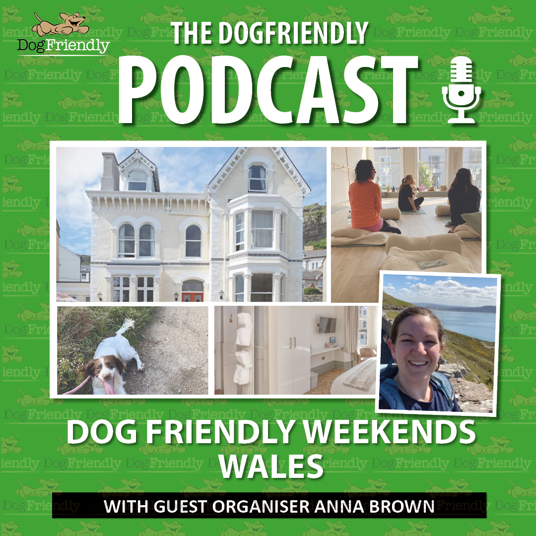 Ever fancied a wellness weekend, but thought you couldn’t bring your dog?