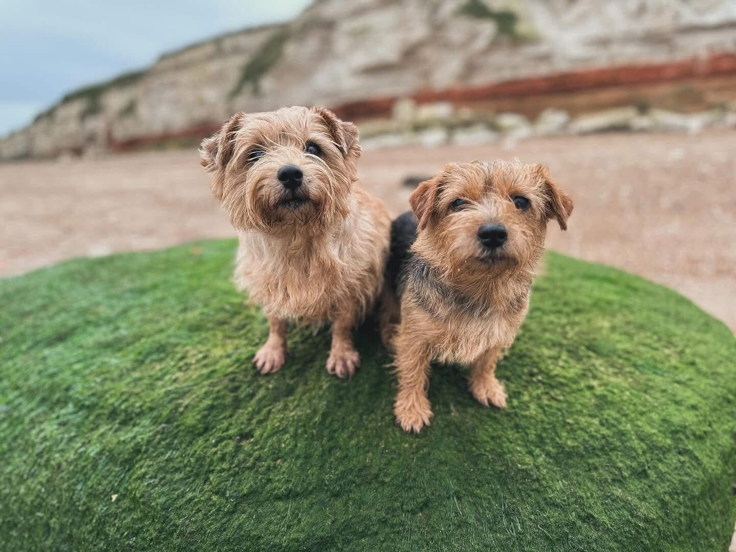 Hunstanton, Norfolk