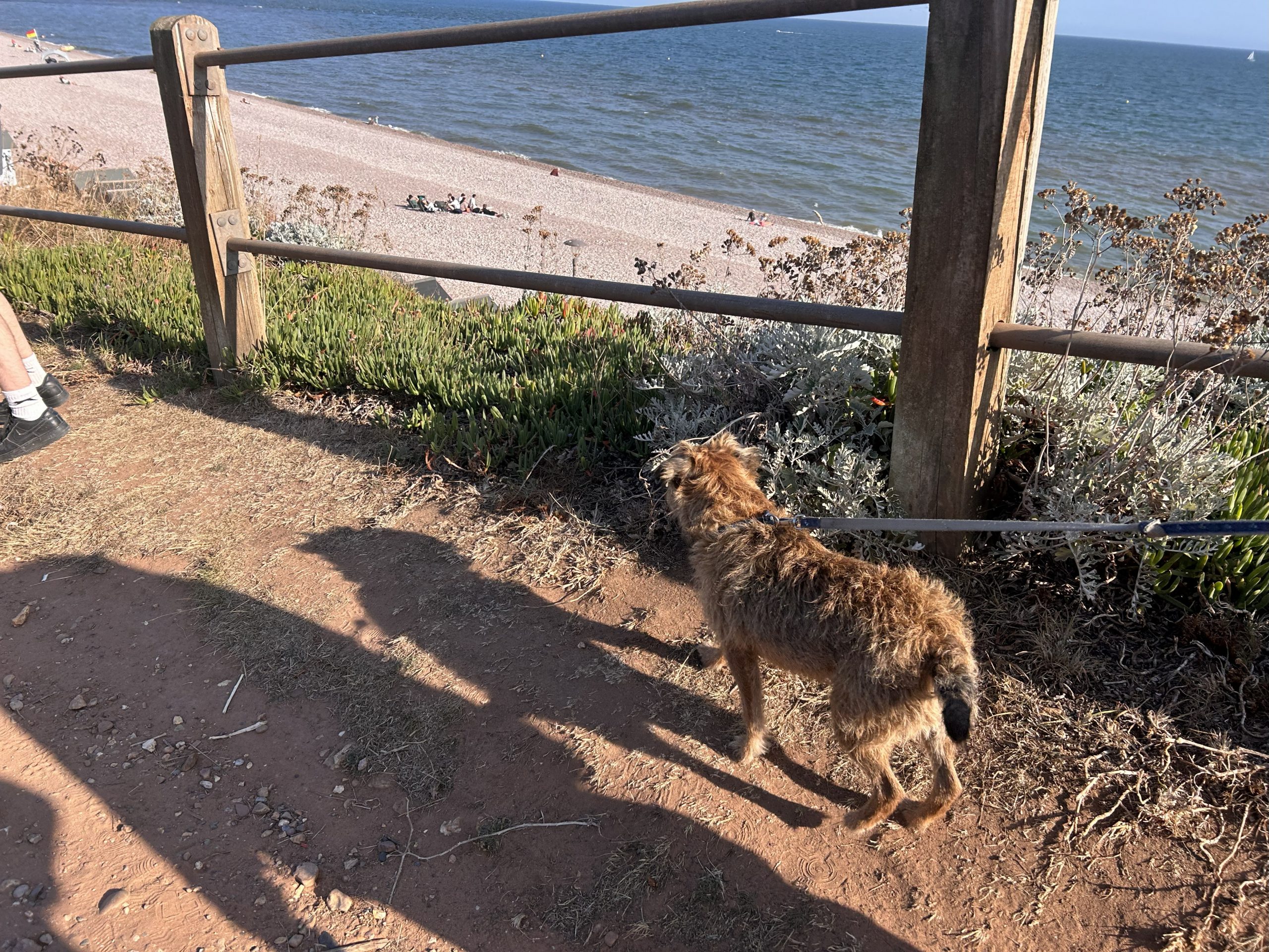 Spinning Wheel Cottage, Otterton