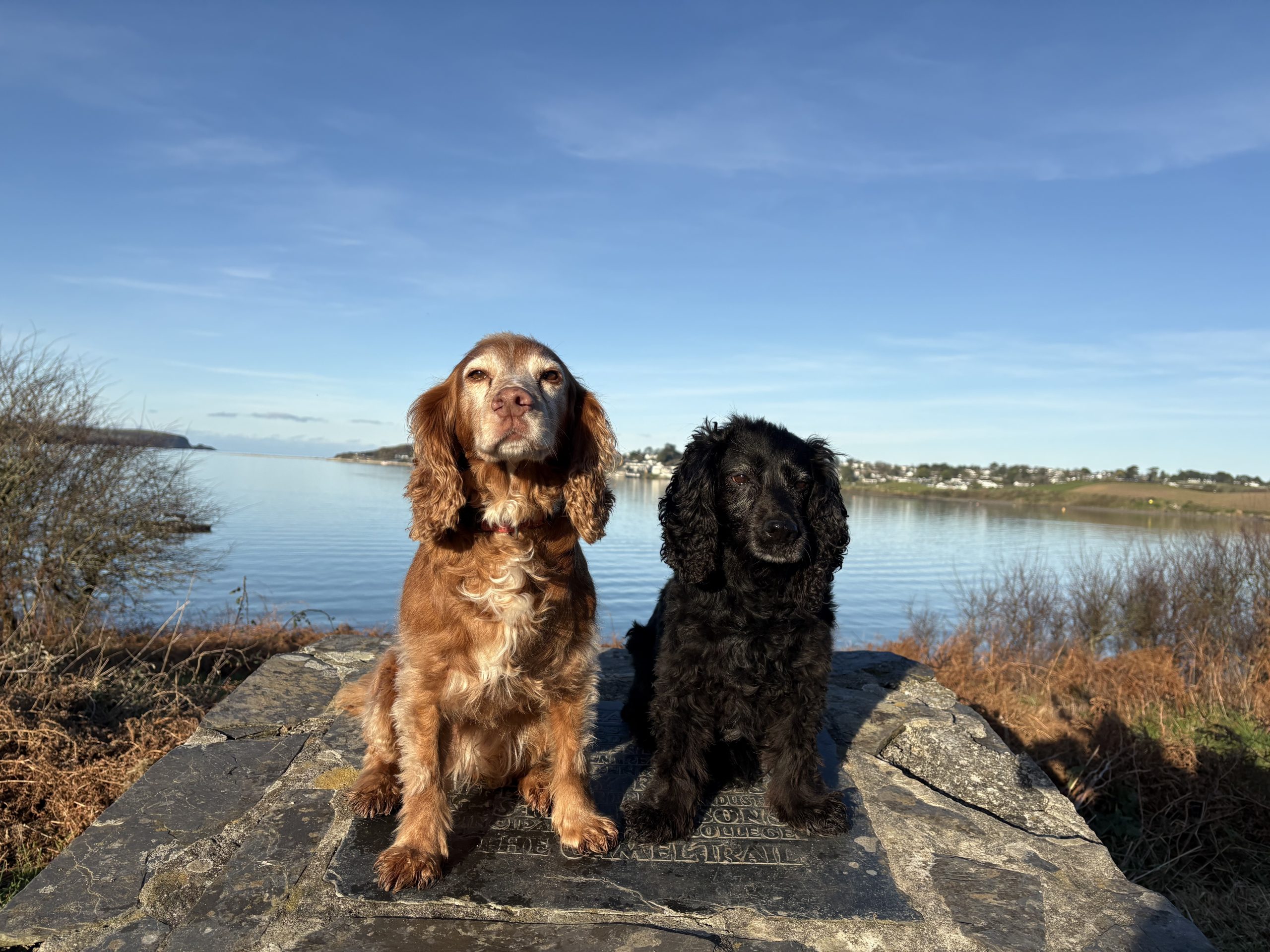 Coswarth Cottage, Padstow