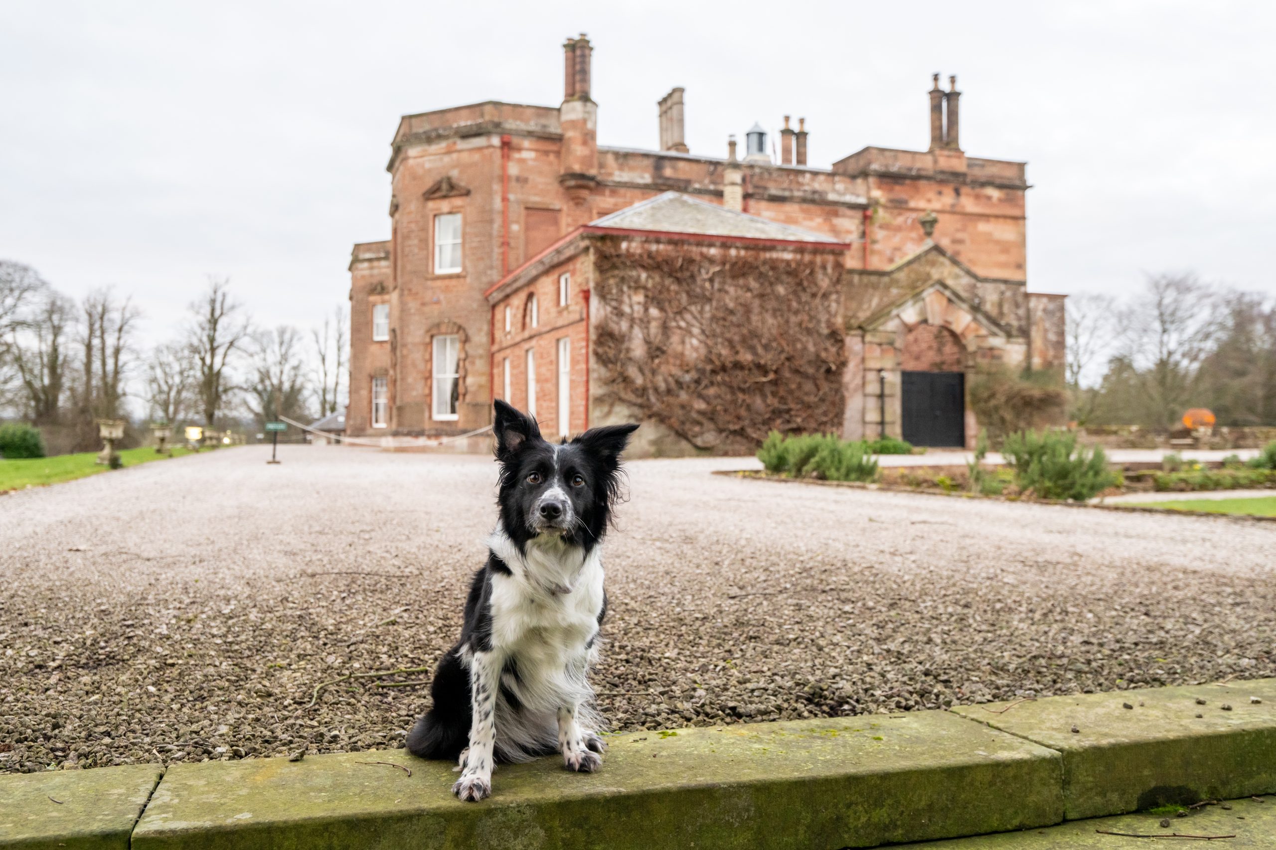 Middle Lodge, Netherby Hall, Carlisle